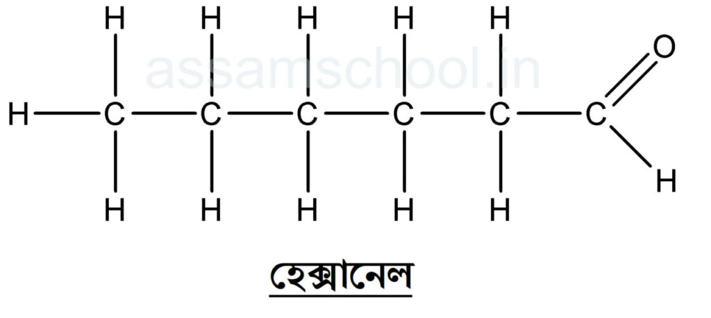 হেক্সানেলৰ গঠন