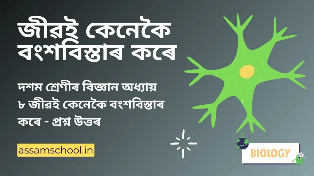 জীৱই কেনেকৈ বংশবিস্তাৰ কৰে | SEBA Class 10 Science Chapter 8 Question Answer in Assamese Medium