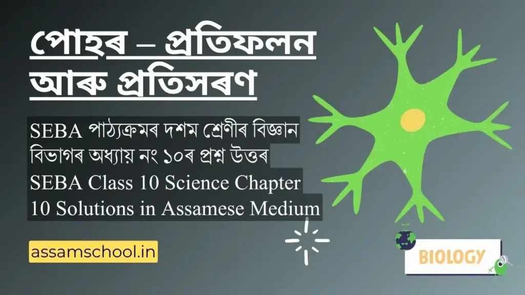 পোহৰ – প্ৰতিফলন আৰু প্ৰতিসৰণ | SEBA Class 10 Science Chapter 10 Question Answer in Assamese Medium