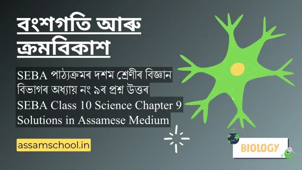 বংশগতি আৰু ক্ৰমবিকাশ | SEBA Class 10 Science Chapter 9 Question Answer in Assamese Medium